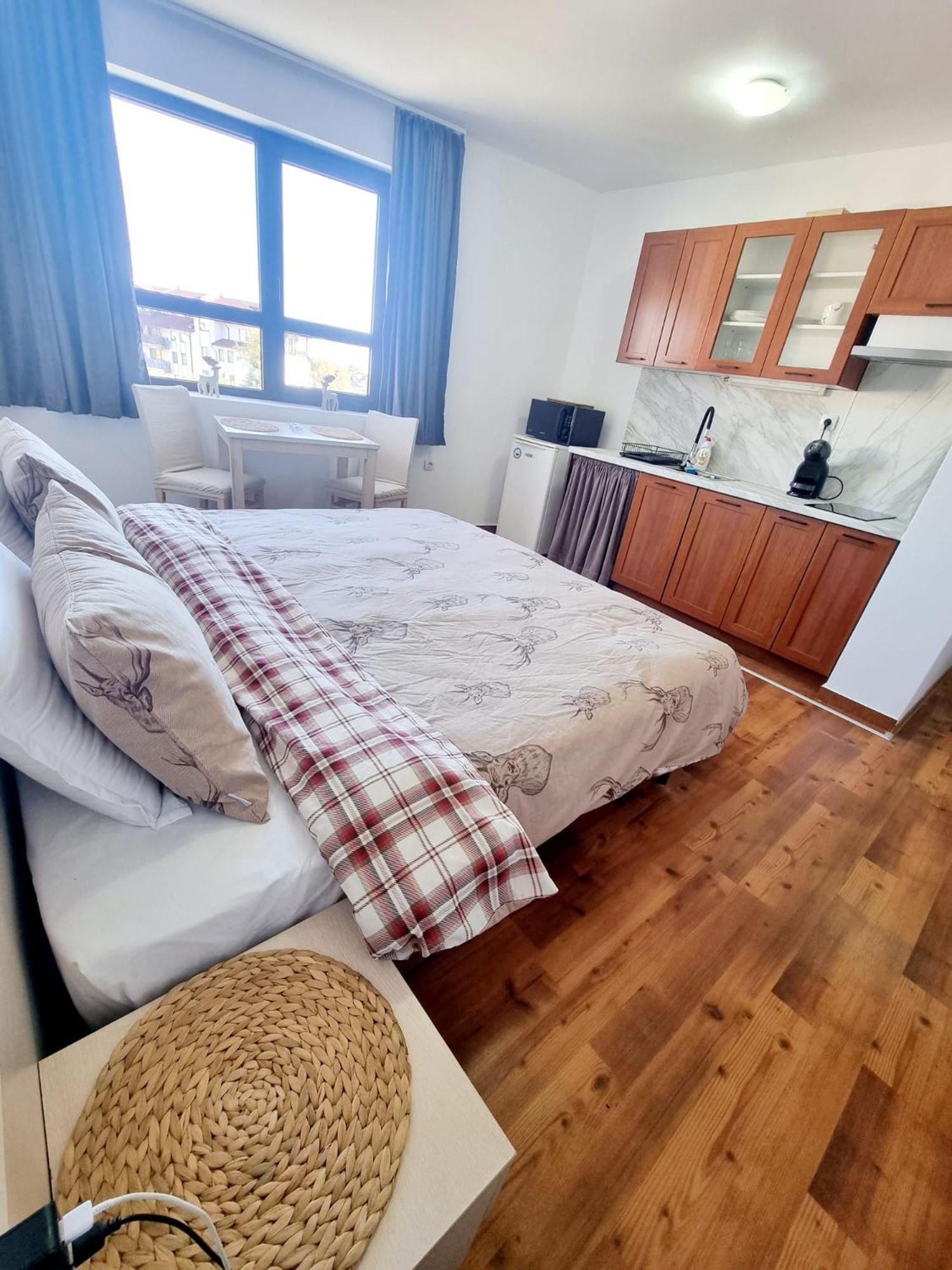 Vihren 11,bansko Apartment